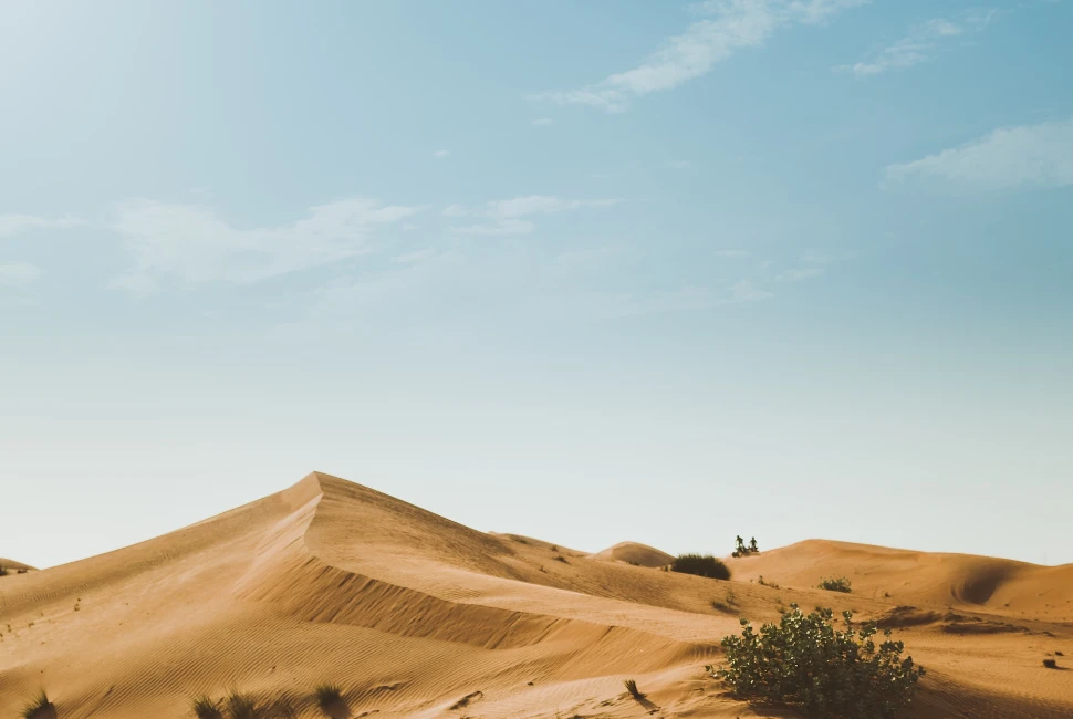 Unleashing the Magic: Top Attractions and Activities in Dubai, AE